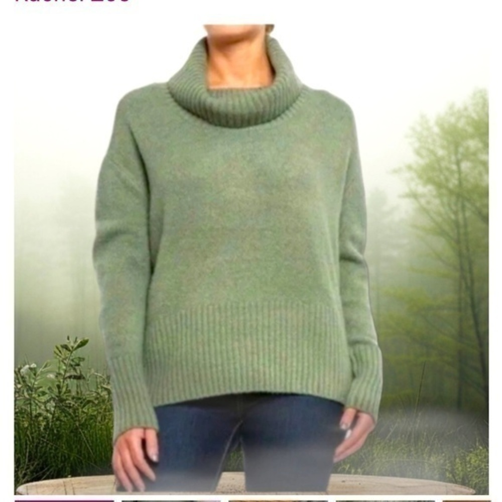 Rachel Zoe sage long sleeved cowl neck sweater